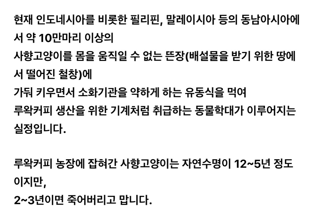 학대당하는 사향고양이들.jpg | 인스티즈