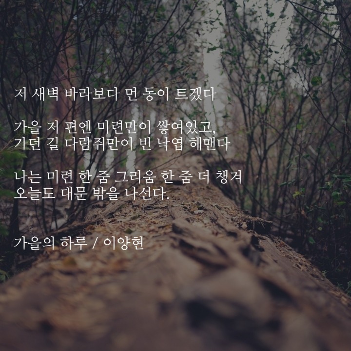 가을의 하루 | 인스티즈