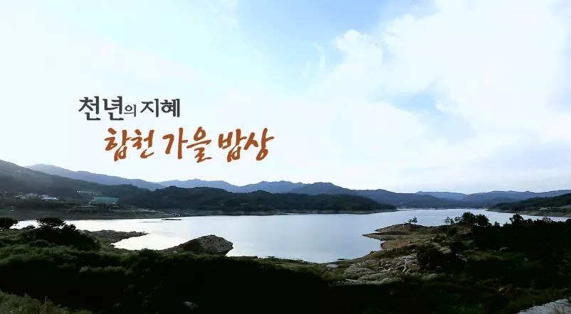 한국인의 밥상 - 합천 가을 밥상 | 인스티즈