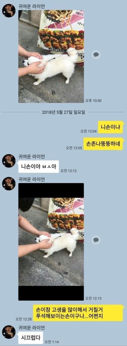 국내 최초... 본인 대상으로 탈룰라 시전 | 인스티즈