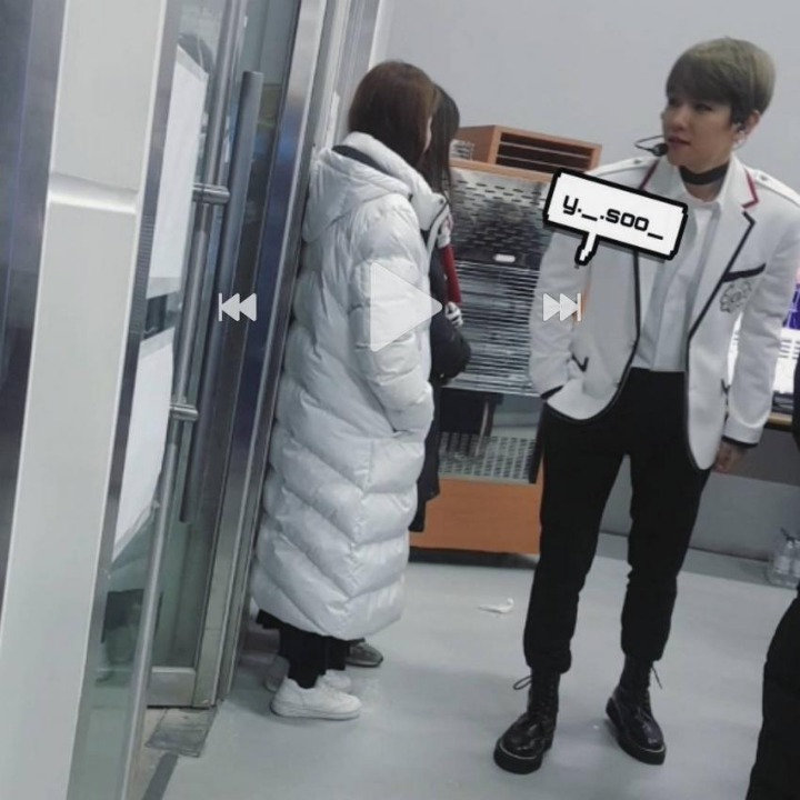 댕둘 이미지