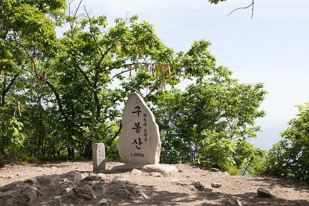 서봉주유소 이미지