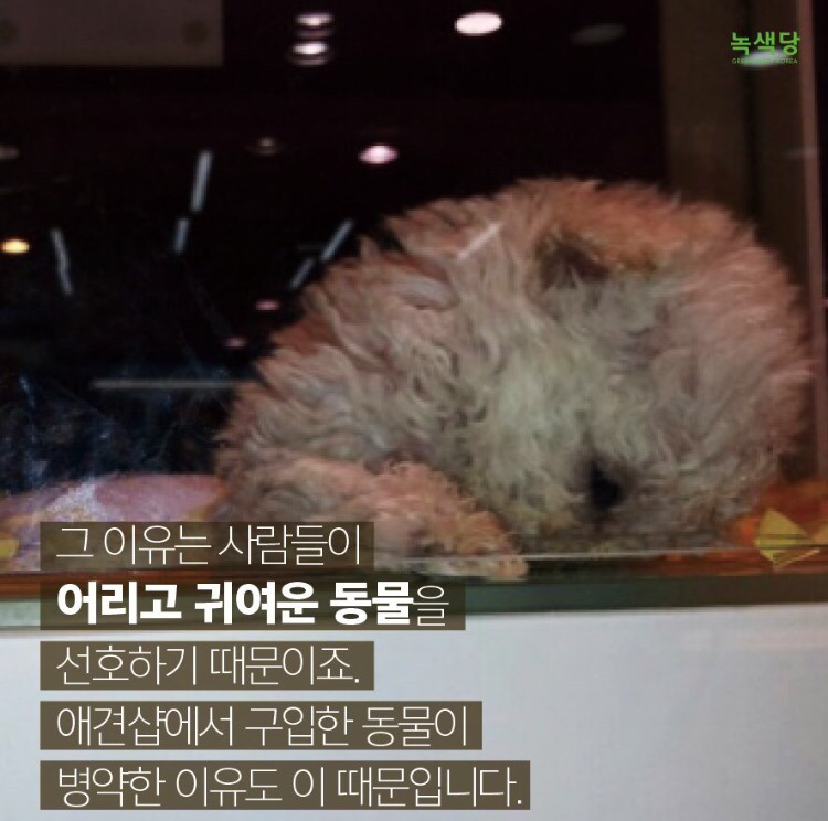 연예인들도 많이 하고 일반인들도 많이 하는데 사실상 욕 먹어도 할말 없는 행동.JPG | 인스티즈