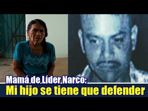 멕시코에서 갱단에 대처하는 법 | 인스티즈