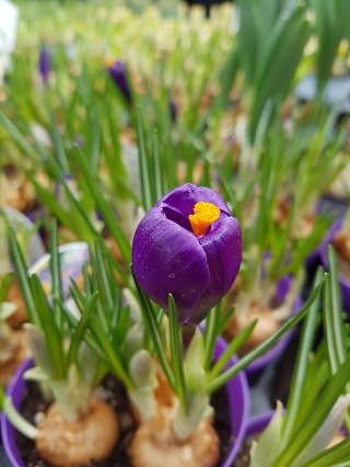 996585505C883F181E206A