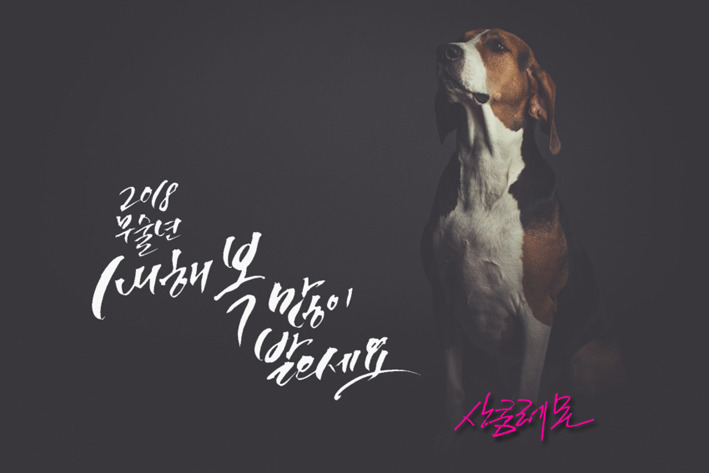 하이고 이미지