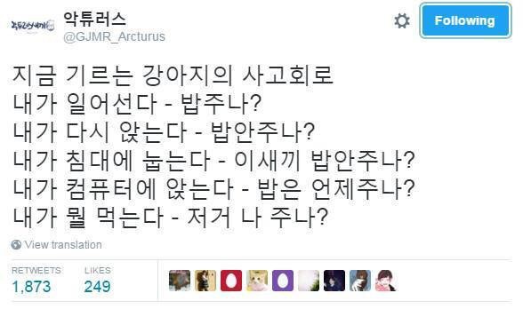 강아지가 쳐다보는 이유 | 인스티즈