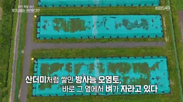 일본산 식품 먹지 않고 일본 여행 가지 않는게 좋은 이유 | 인스티즈