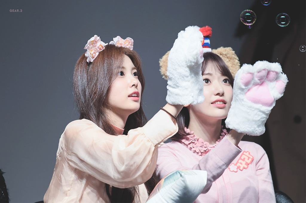 귀여운 아이즈원 동물농장 ㅋㅋㅋㅋㅋ | 인스티즈
