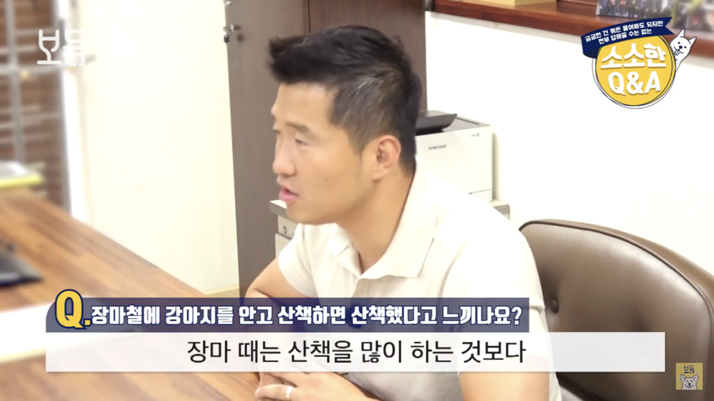 장마철에 강아지를 안고 산책하면 산책했다고 느끼나요?.jpg | 인스티즈