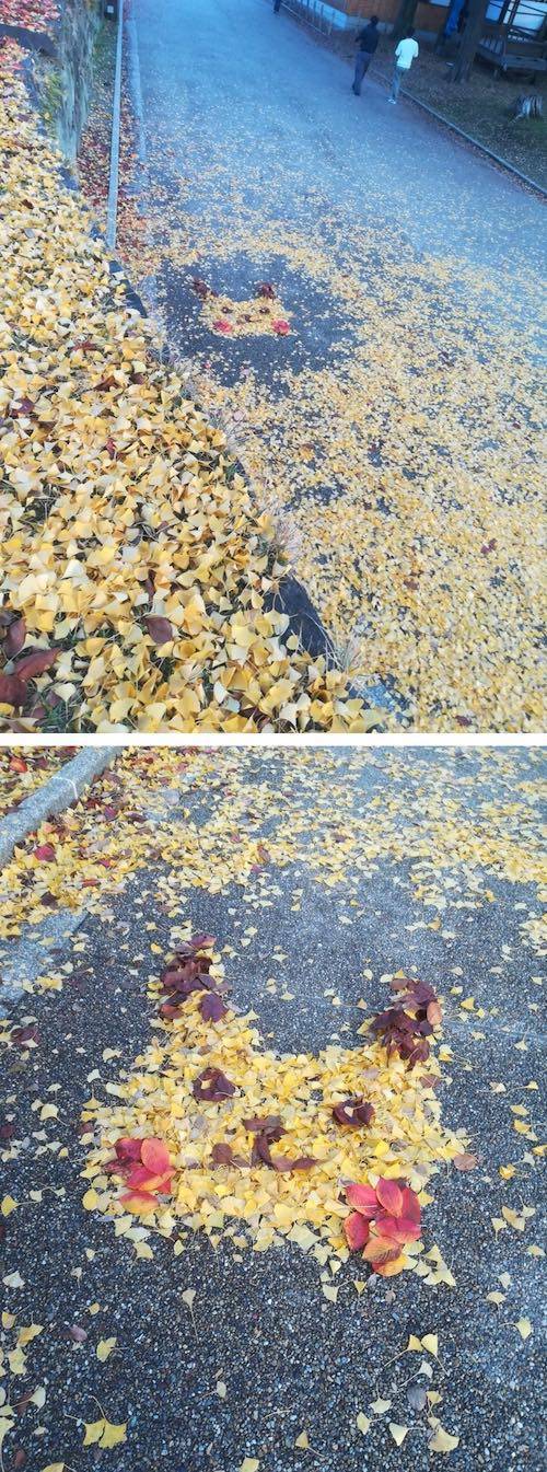 가을한정 피카츄.jpg | 인스티즈