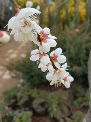 996F14505C883F1A1D2AA2