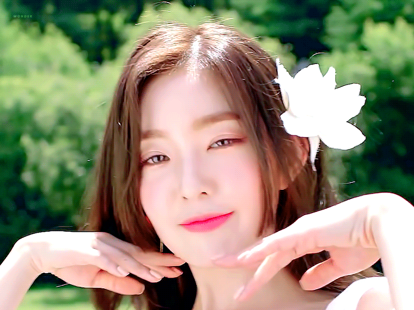 레드벨벳 아이린,아웃도어 브랜드 아이더 모델 발탁;박보검과 케미커플 재회 | 인스티즈