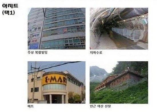좀비 서바이벌이 발생했을 때 여러분들의 선택은?? | 인스티즈