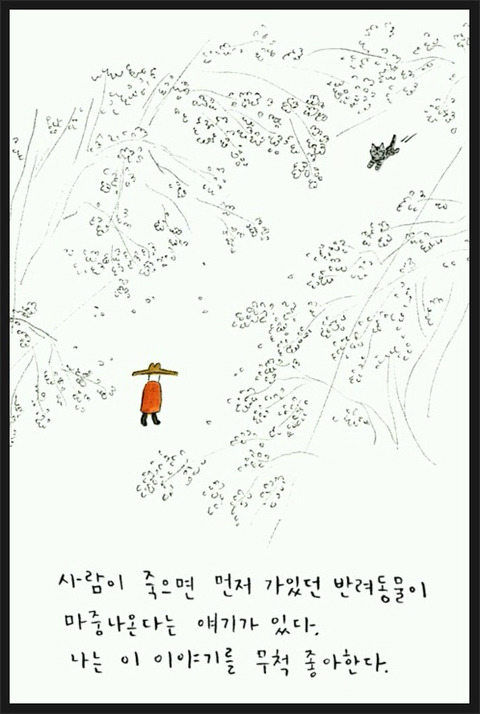 사람이 죽으면 먼저 간 반려동물이 마중온다는 얘기가 있다 | 인스티즈