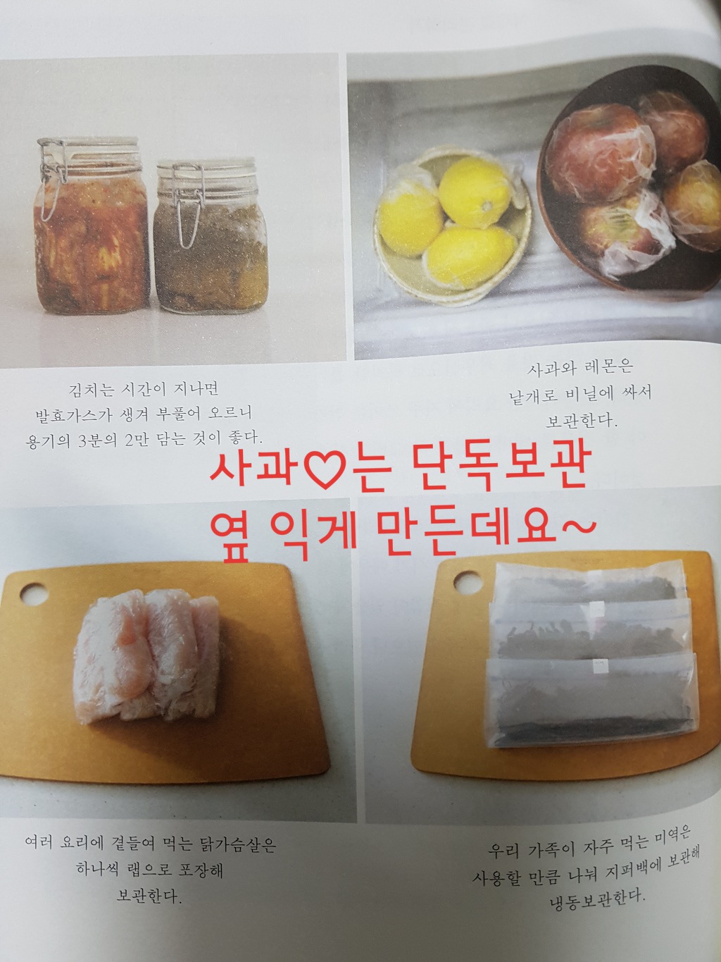돈콕복콕 이미지