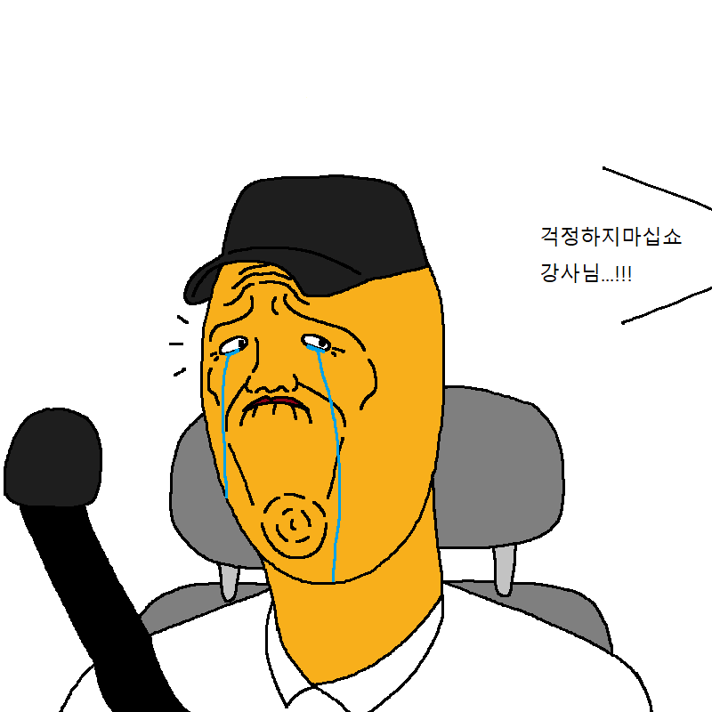 운전학원에서 운전교육 받는 만화.jpg | 인스티즈