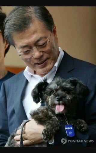 문토리 이미지