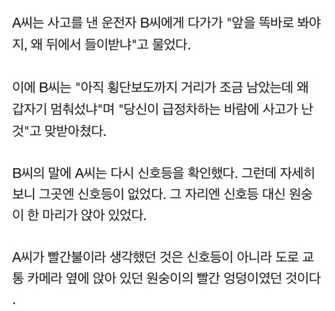 원숭이 엉덩이 빨간불로 착각해 교통사고 낸 여성 | 인스티즈