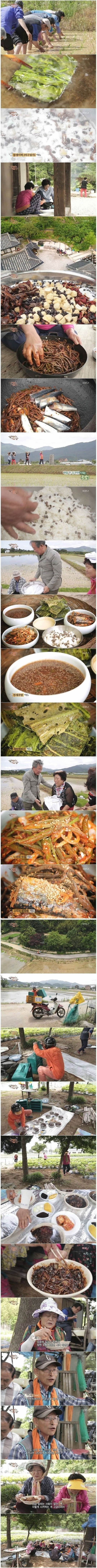 한국인의 밥상 - 새참 | 인스티즈