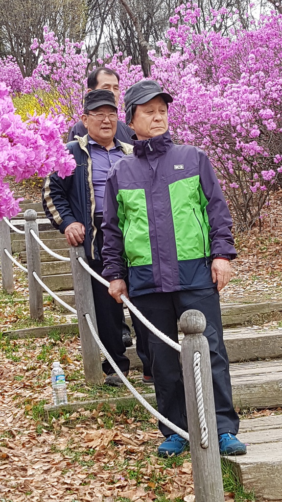 진달래까페 이미지