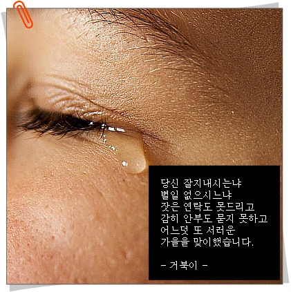가을난 이미지