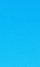 첫눈이 오면 냥이들은 무엇을 할까~요? .gif | 인스티즈