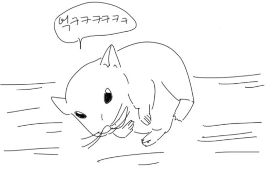 방송을 아끼고 진심으로 사랑하는 시청자.jpg | 인스티즈