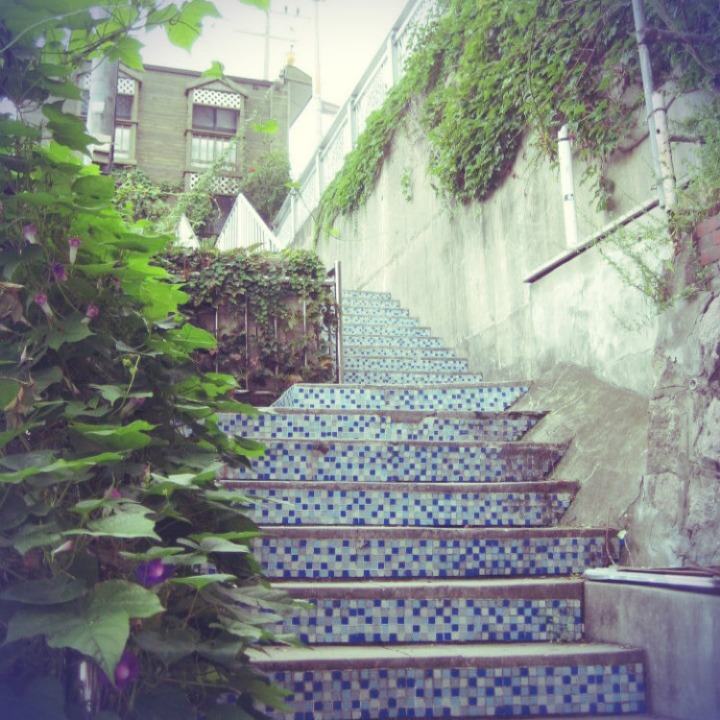 모 일본 커뮤에서 게시된 여러 한국 여행지 | 인스티즈