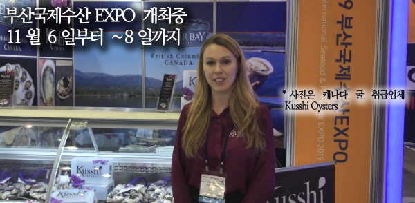 국제수산 이미지