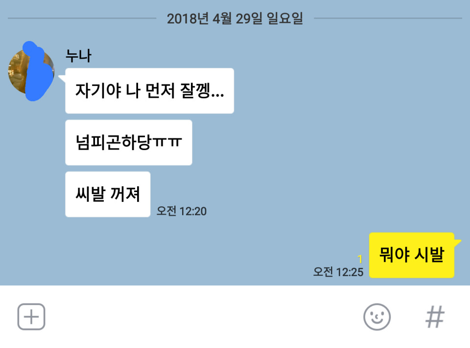 누나한테 이유 없이 쌍욕 먹은 동생.jpg | 인스티즈