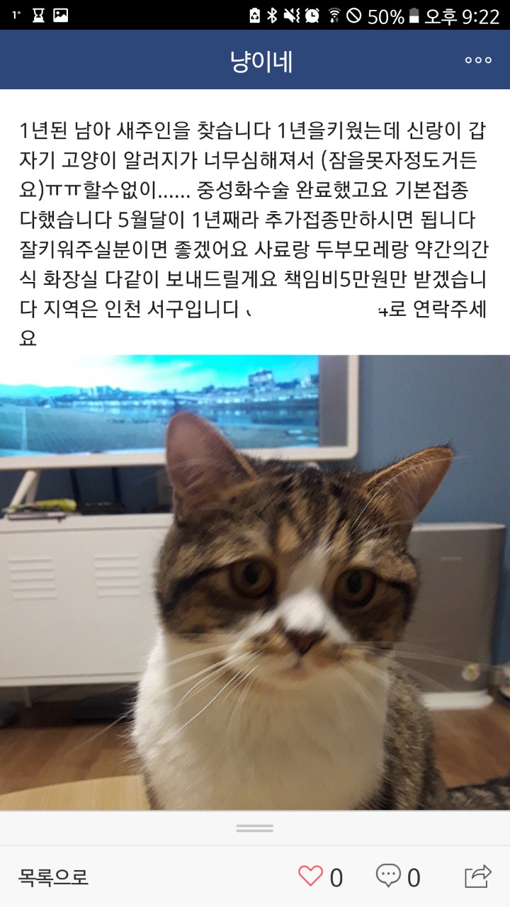 품종묘 교배.분양하는 네이버카페(냥이네) | 인스티즈