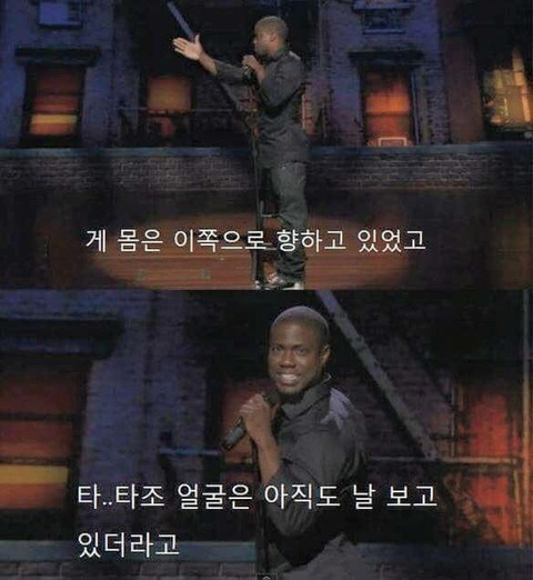 타조가 싫은 이유.jpg | 인스티즈