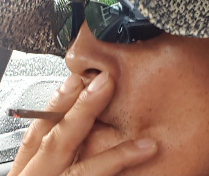 딜라일라 이미지