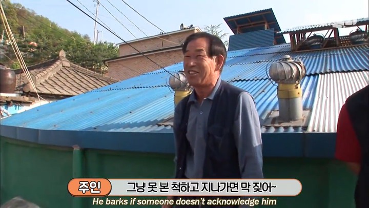 모른척 지나가면 짖는 삼식이.jpg | 인스티즈