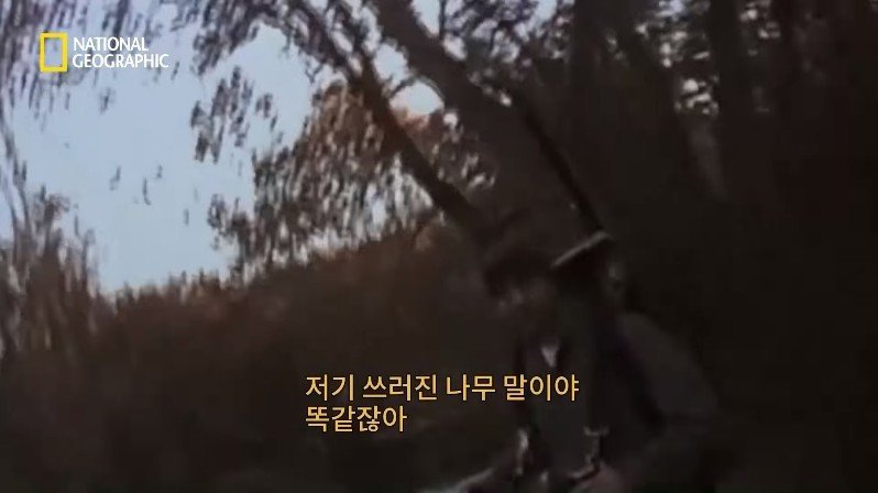 1999년, 새로운 장르의 공포영화가 인터넷을 통해 홍보되다 | 인스티즈