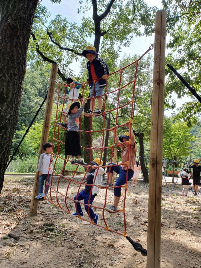 황금산 유아숲체험원 이미지