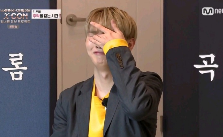 모마 이미지