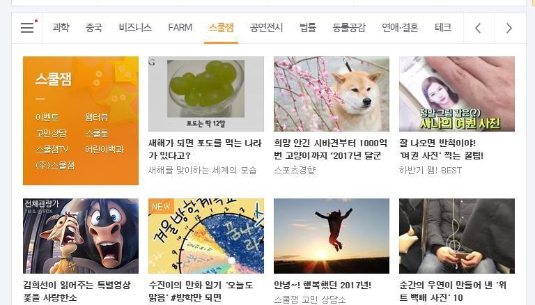 네이버 메인에 기사 동시에 2개나 올라온 사나 ㄷㄷㄷ | 인스티즈