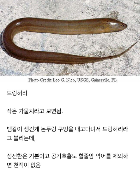 99A7373E5A8ADA302516D0