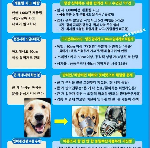 얘들아 개파라치 시행/공격성과 무관한 입마개 착용 의무화에 반대하는 가장 효과적인 방법!!! | 인스티즈