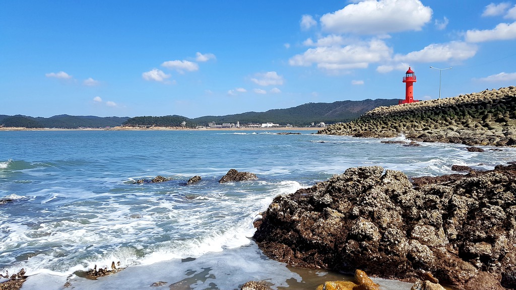 99AA3D365C9746E1194284