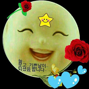 행복꽃 이미지