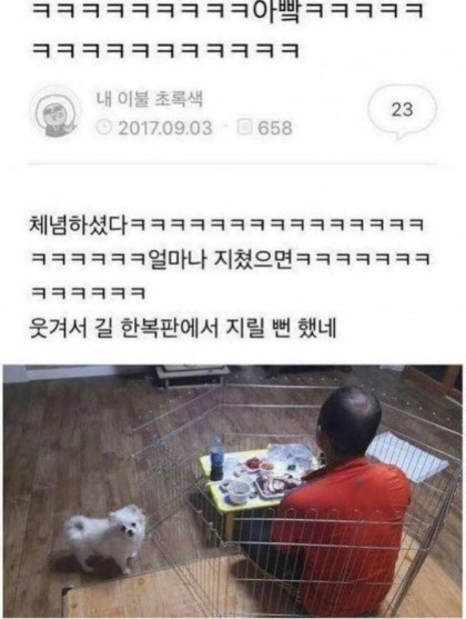 댕댕이에 지친 아버지 | 인스티즈