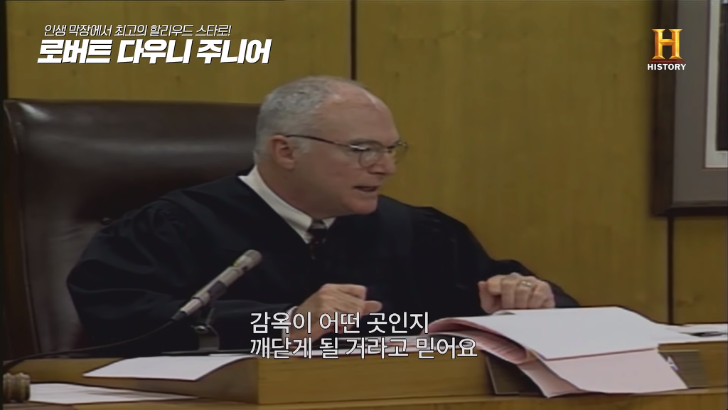 별이 다섯개! 체포만 5번 된 막장인생의 극적 변신 로버트 다우니 주니어 이야기 1부.jpg | 인스티즈