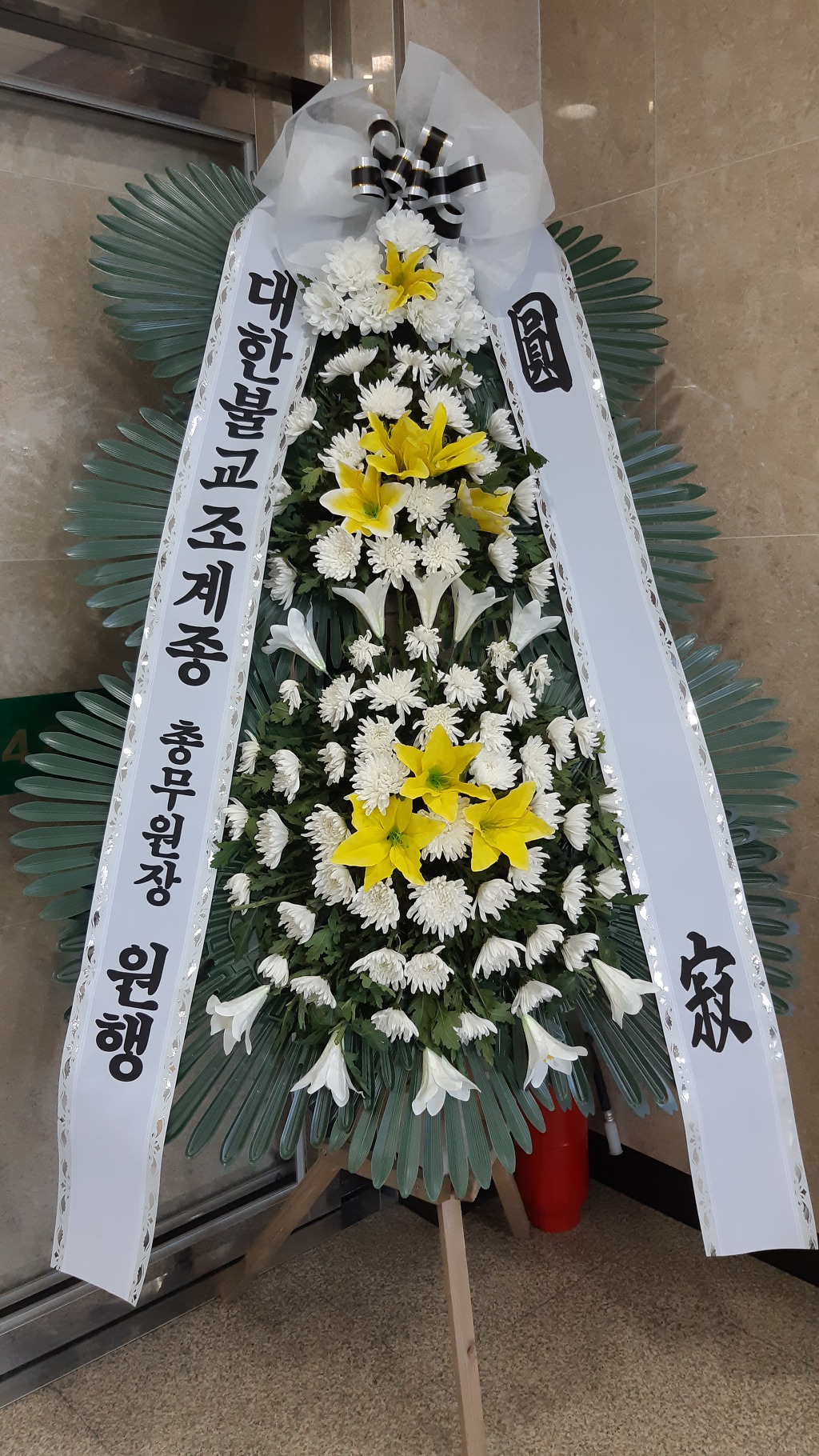 향운 이미지