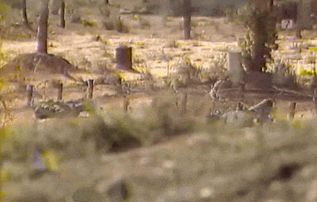 1982년 군대리아 1세대 모습.....gif (움짤 다수) | 인스티즈