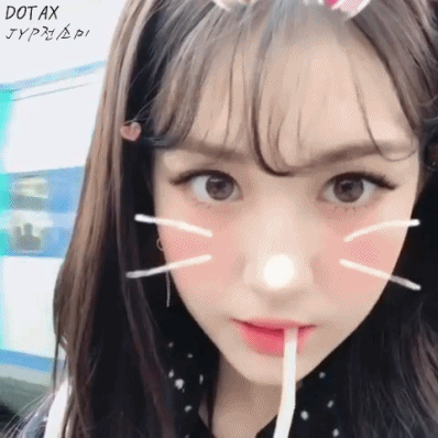 방충망 달았더니 고양이가.JPG | 인스티즈