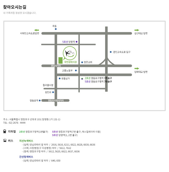금일 이미지
