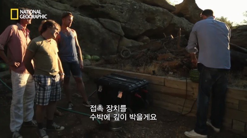수박 안에 1만 볼트를 내보내면 생기는 일 | 인스티즈